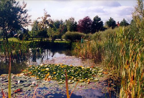 Landhotel Allgaeuer Hof Wolfegg Удобства фото